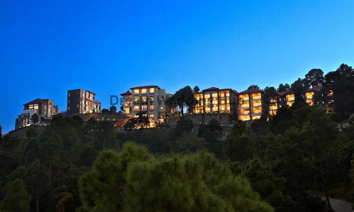 Fortune Select Forest